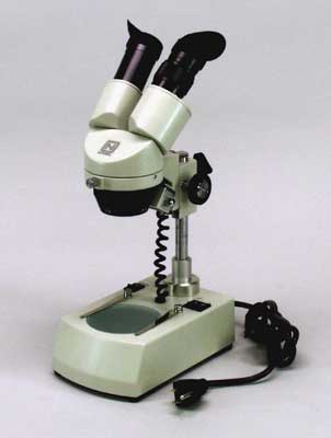 Stereoscopic Microscope